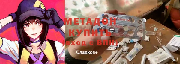 прущие грибы Нефтекумск