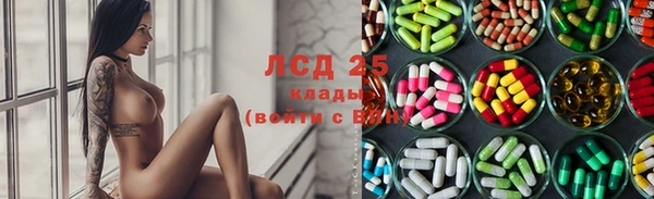 прущие грибы Нефтекумск
