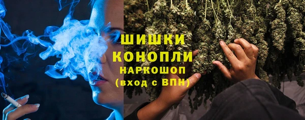 прущие грибы Нефтекумск