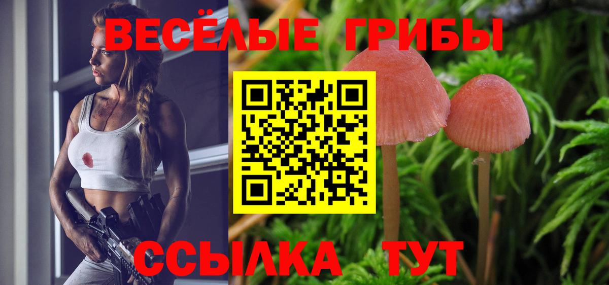 Псилоцибиновые грибы мухоморы Анапа